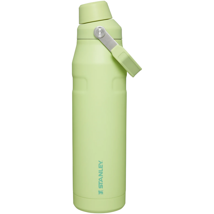 Garrafa Térmica Aerolight Fast Flow Citron | 1.1L