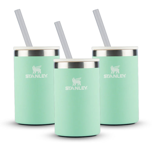 Kit 3 Can Cooler com canudo Pistachio | 296ML