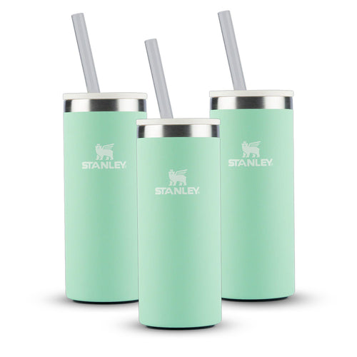 Kit 3 Can Cooler Slim com canudo Pistachio | 296ML