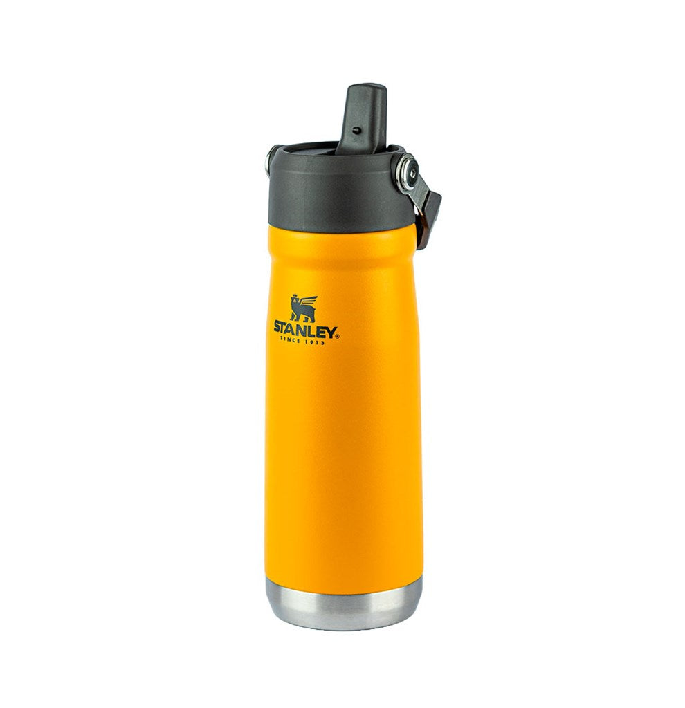Stanley 1913 Garrafa Térmica Flip Straw Stanley Saffron 651ML  | View 3