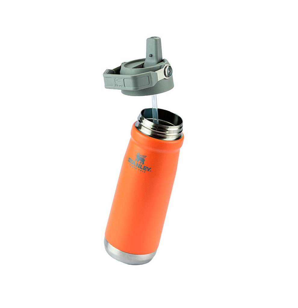 Stanley 1913 Garrafa Térmica Flip Straw Stanley Guava 651ML  | View 2