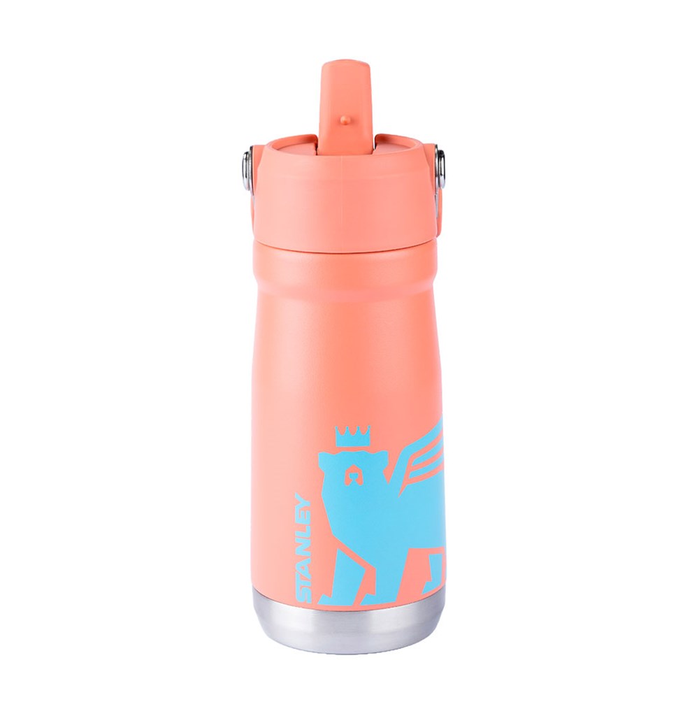 Stanley 1913 Garrafa Térmica Flip Straw Youth Stanley Grapefruit 500ML  | View 5