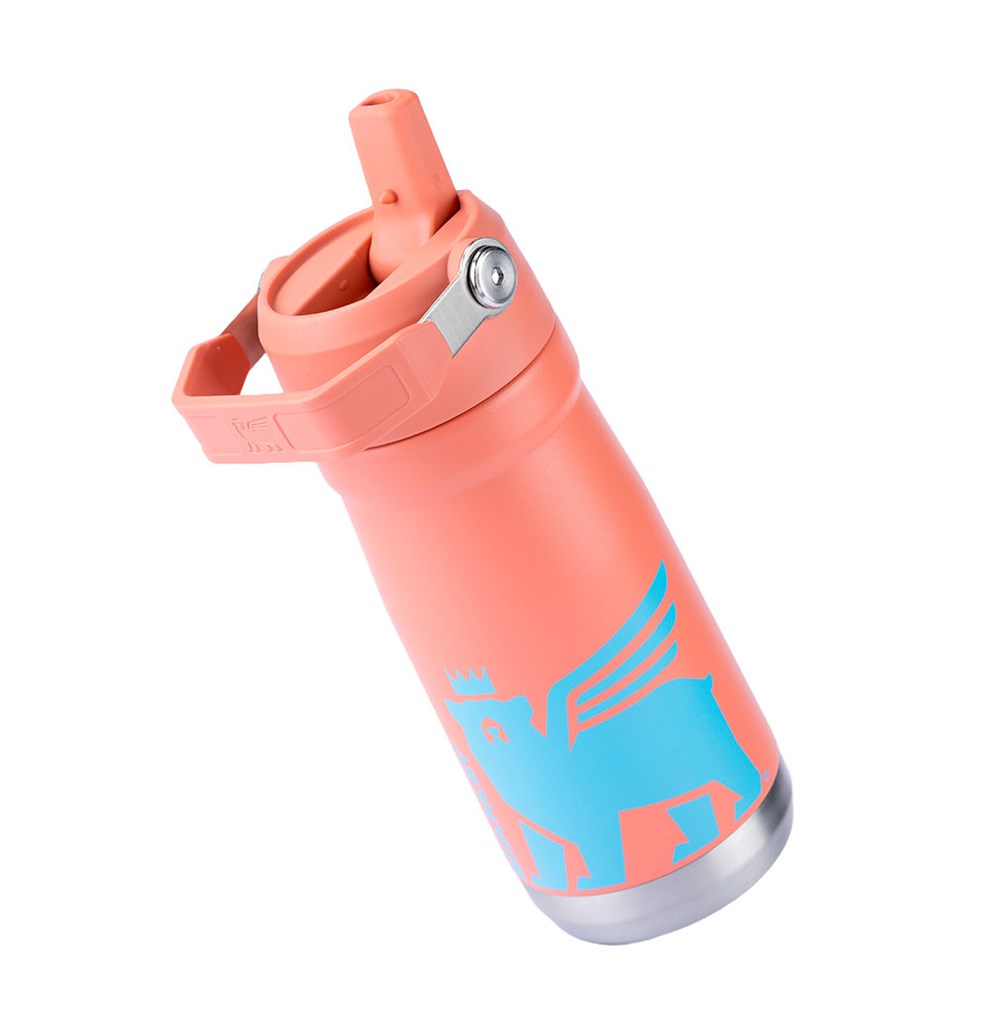 Stanley 1913 Garrafa Térmica Flip Straw Youth Stanley Grapefruit 500ML  | View 6
