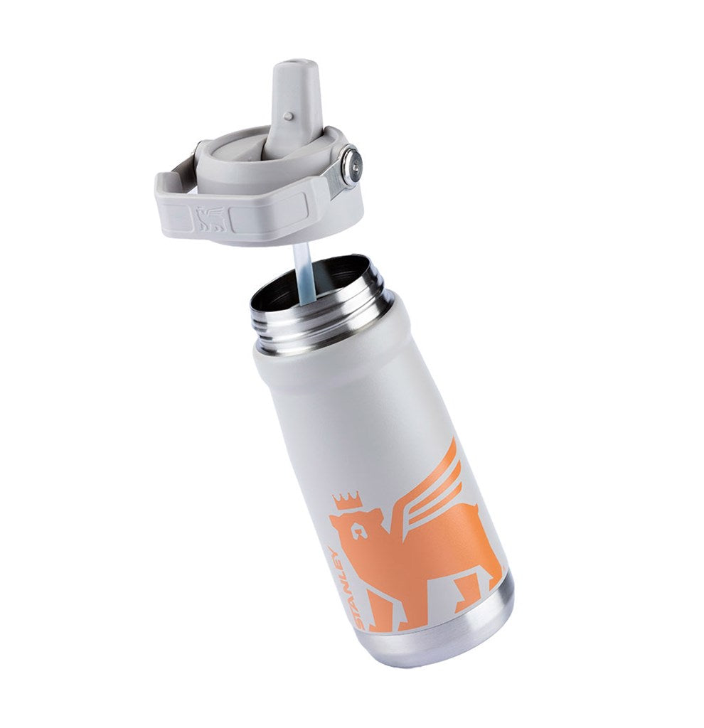 Stanley 1913 Garrafa Térmica Flip Straw Youth Stanley Ash 500ML  | View 2