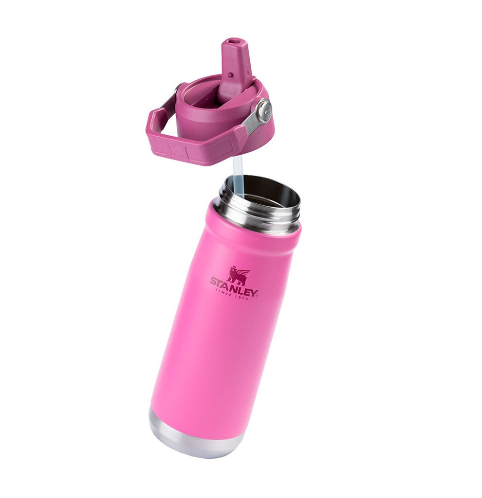 Stanley 1913 Garrafa Térmica Flip Straw Stanley Azalea 651ML  | View 2