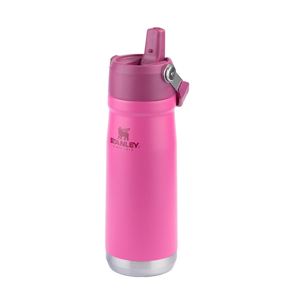 Stanley 1913 Garrafa Térmica Flip Straw Stanley Azalea 651ML  | View 3