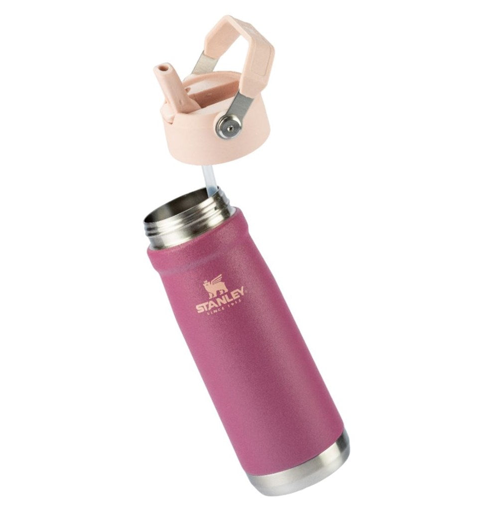 Stanley 1913 Garrafa Térmica Flip Straw Stanley Raspberry 651ML  | View 2