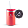 Modelo 1 - Can Cooler com canudo Stanley Apple Shimmer | 296ML