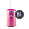 Modelo 4 - Can Cooler com canudo Stanley Dazzle Pink Shimmer | 296ML
