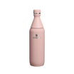  Peach Rose