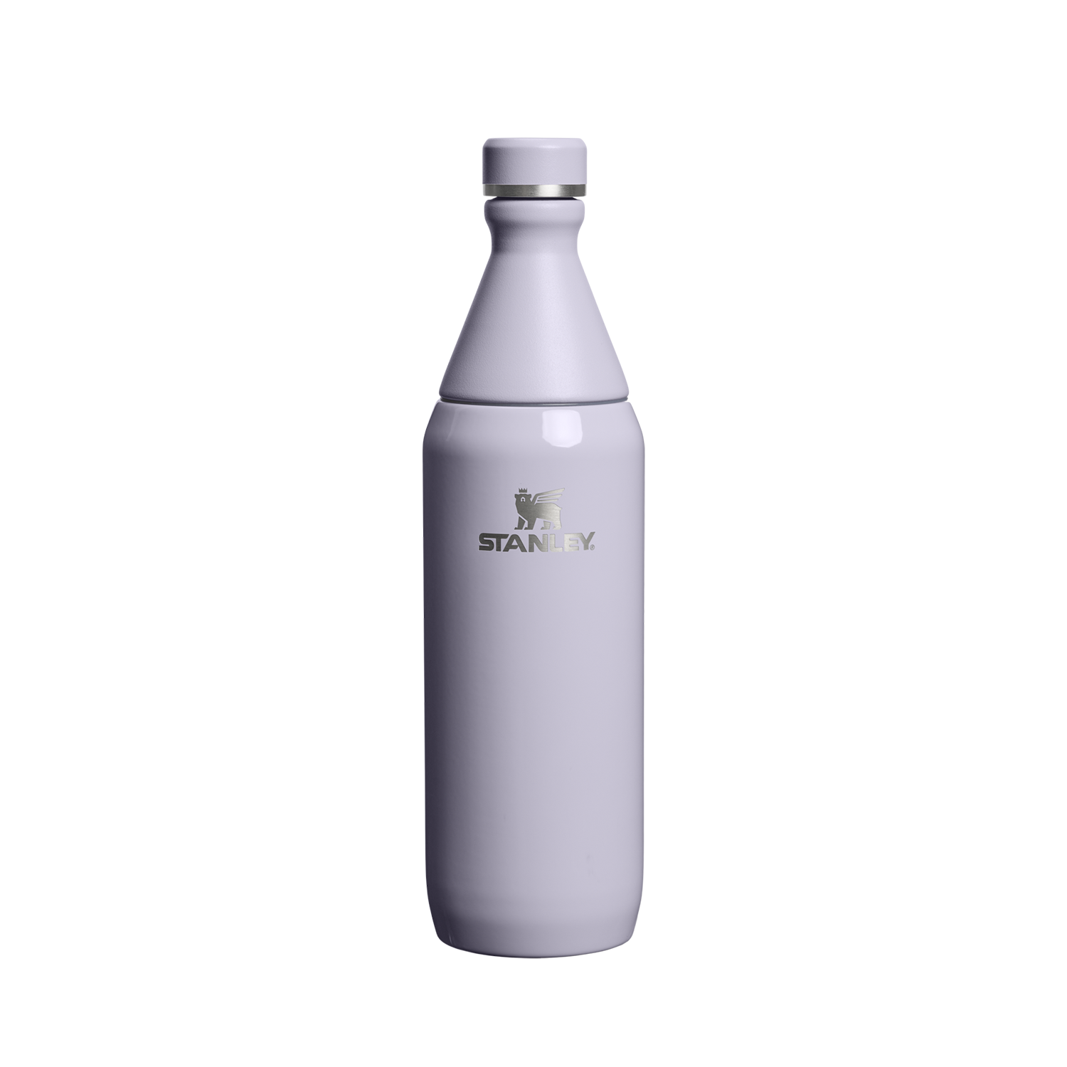 Garrafa Térmica Slim Bottle Purple Dust | 591ml