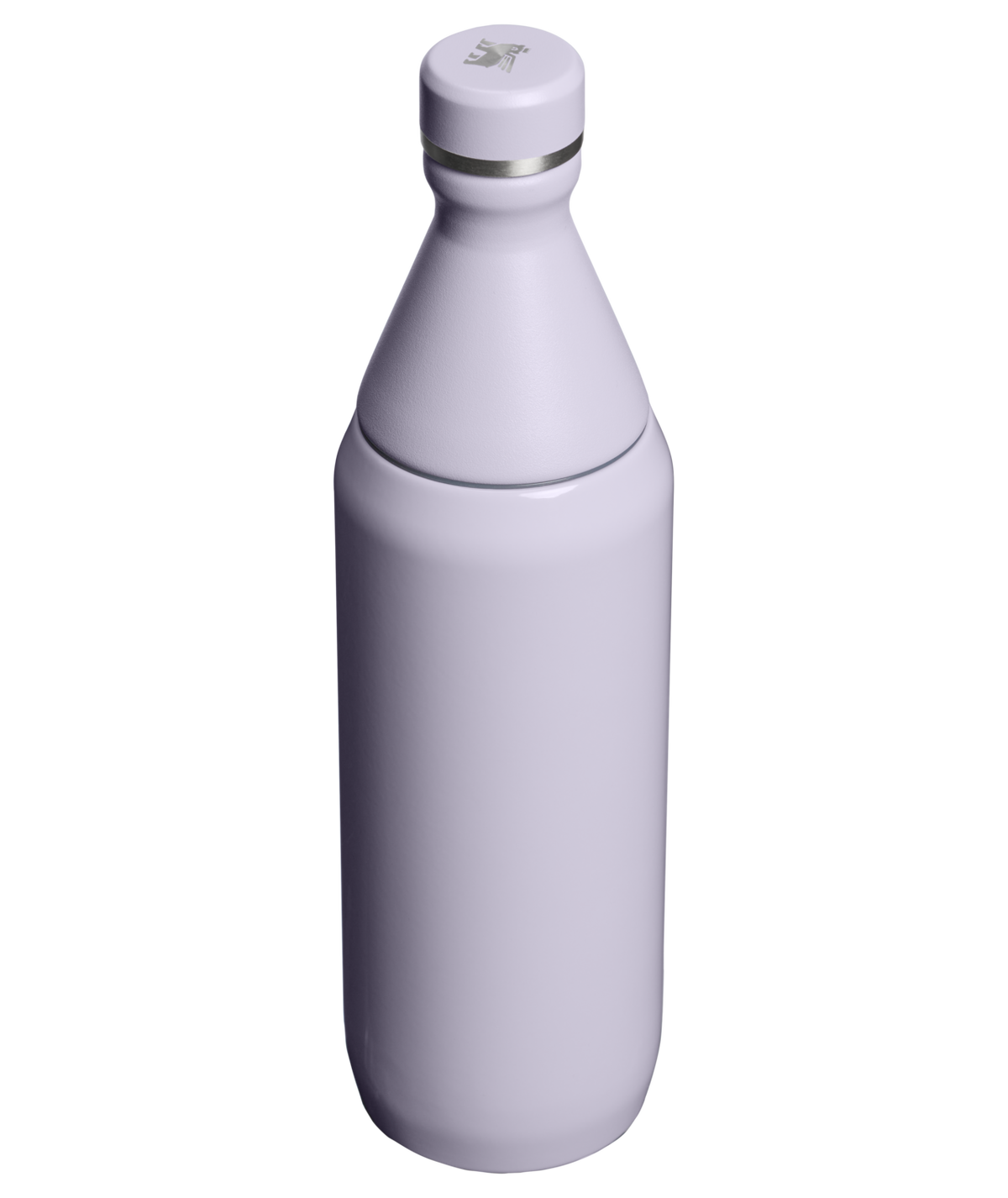 Garrafa Térmica Slim Bottle Purple Dust | 591ml