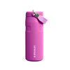 Modelo 12 - Garrafa Térmica Aerolight Flip Straw Dark Blossom | 473ml