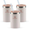 Modelo 11 - Kit 3 Can Cooler com canudo Rose Quartz | 296ML