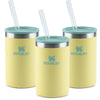 Modelo 9 - Kit 3 Can Cooler com canudo Pomelo | 296ML