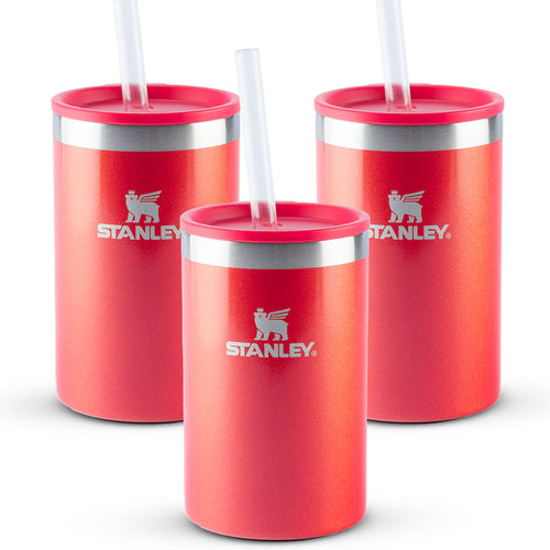 Kit 3 Can Cooler com Canudo Apple Shimmer | 296ml