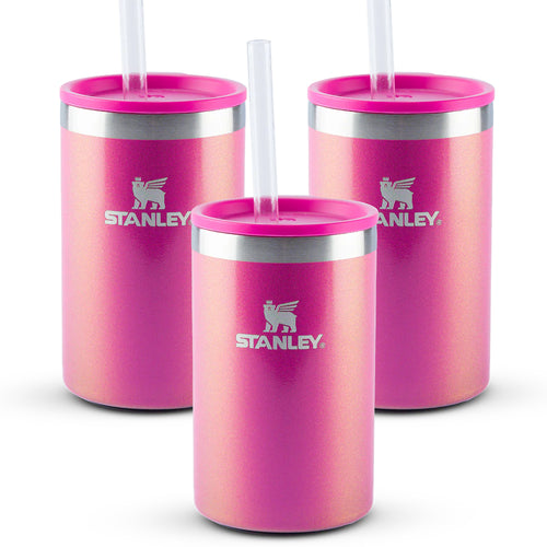 Kit 3 Can Cooler com Canudo Dazzle Pink Shimmer | 296ml