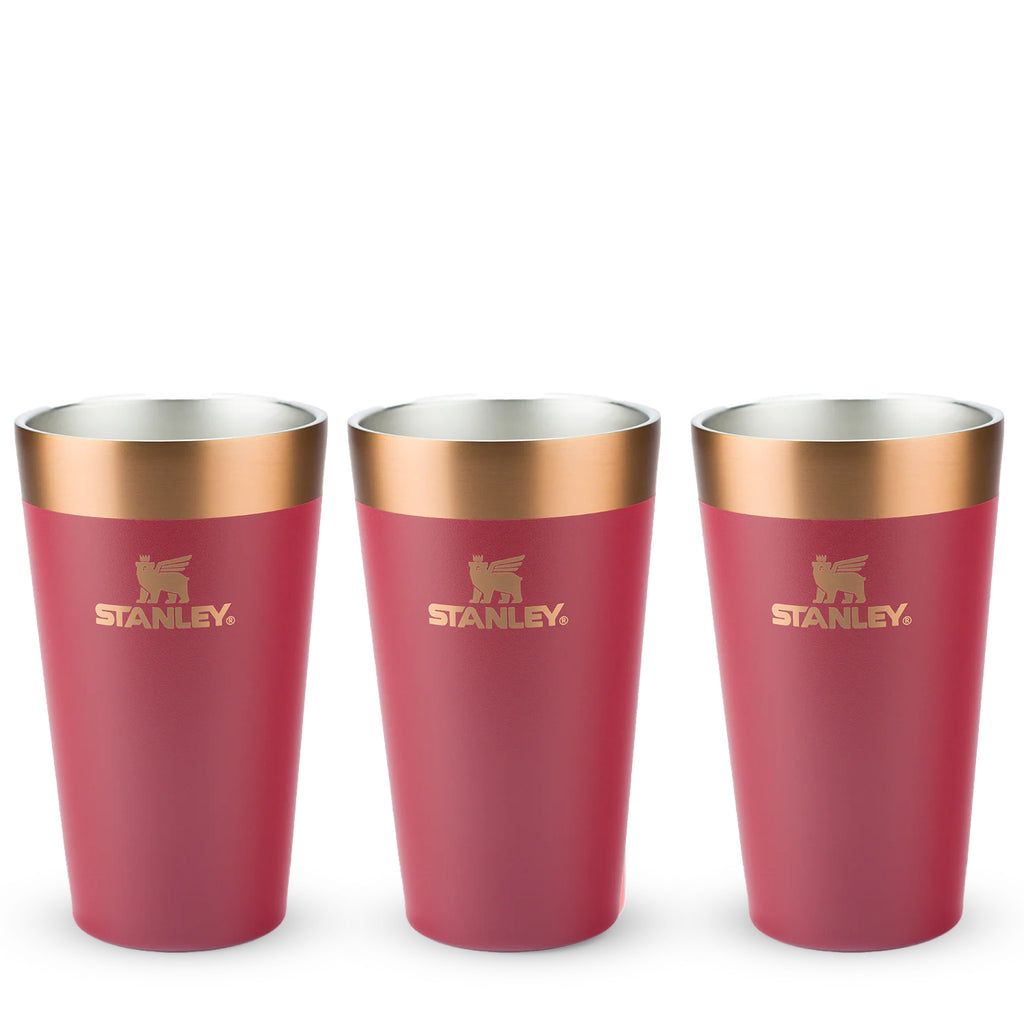 Kit 3 Copos Térmicos De Cerveja Gilded Pomegranate | 473ml